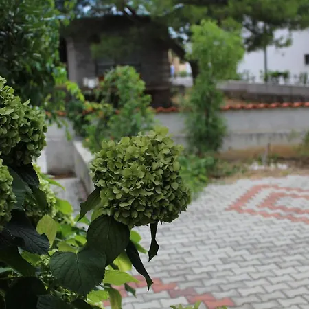 Apartamento Ana I Toni Vodice