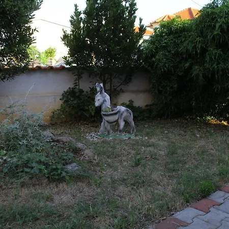 Ana I Toni Vodice
