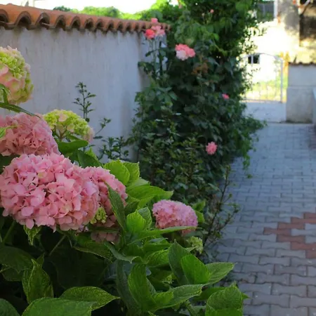 Apartamento Ana I Toni *